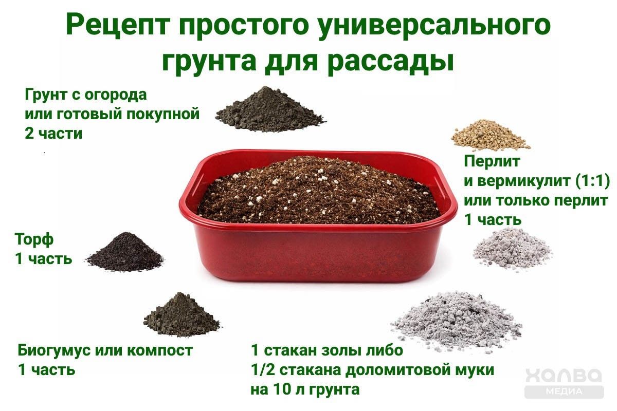 состав универсального грунта для рассады