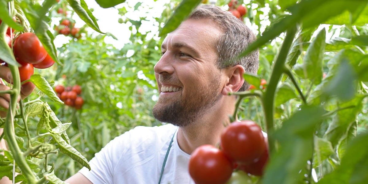 Как раскислить почву быстро и эффективно: полное руководство для богатого урожая