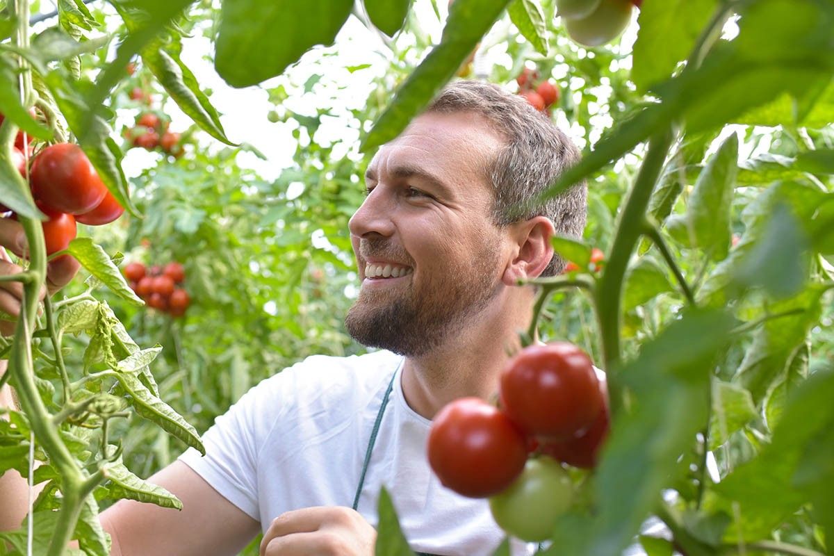 кислая почва 