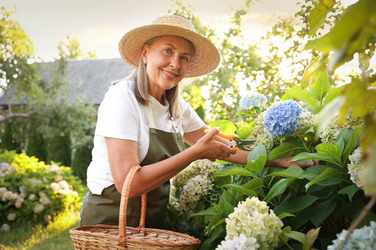 как раскислить почву на огороде