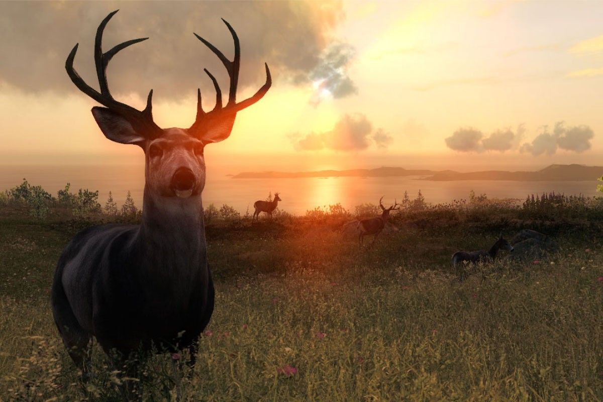 симулятор охоты