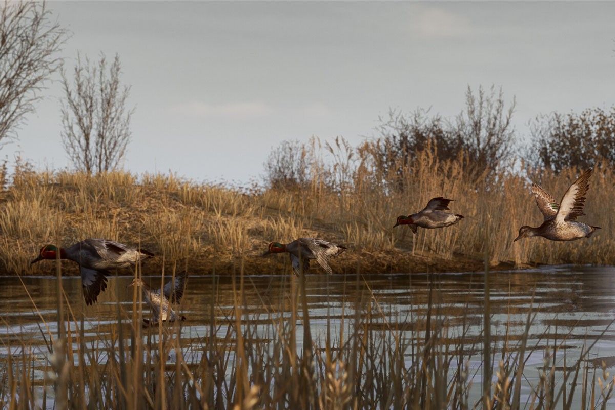 симулятор охоты