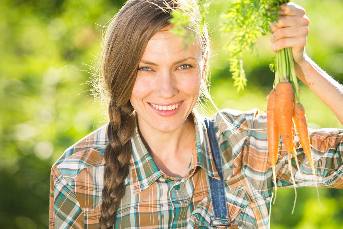 про морковь 