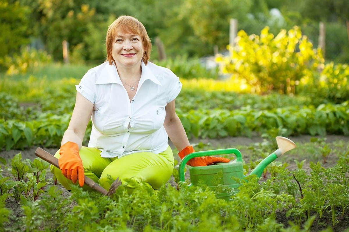 уход за морковью