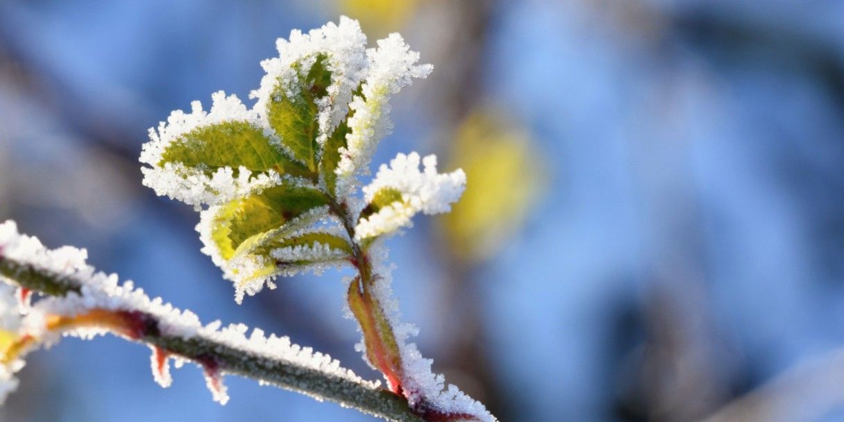 В Москву пришло похолодание: ожидаются снегопад и заморозки
