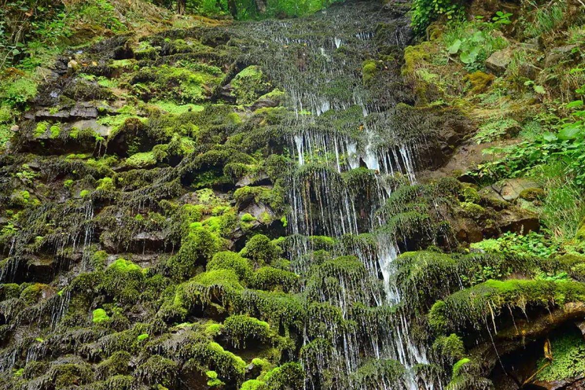 красная поляна весной