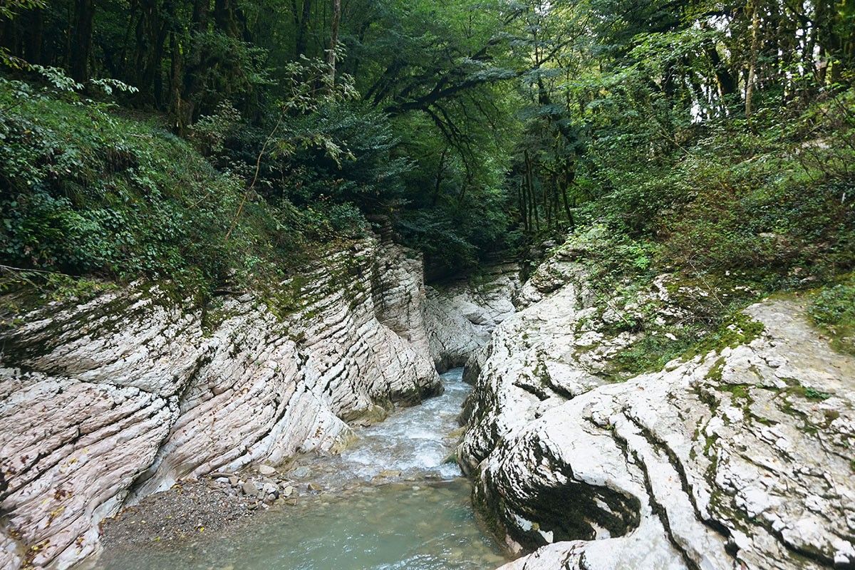 красная поляна весной