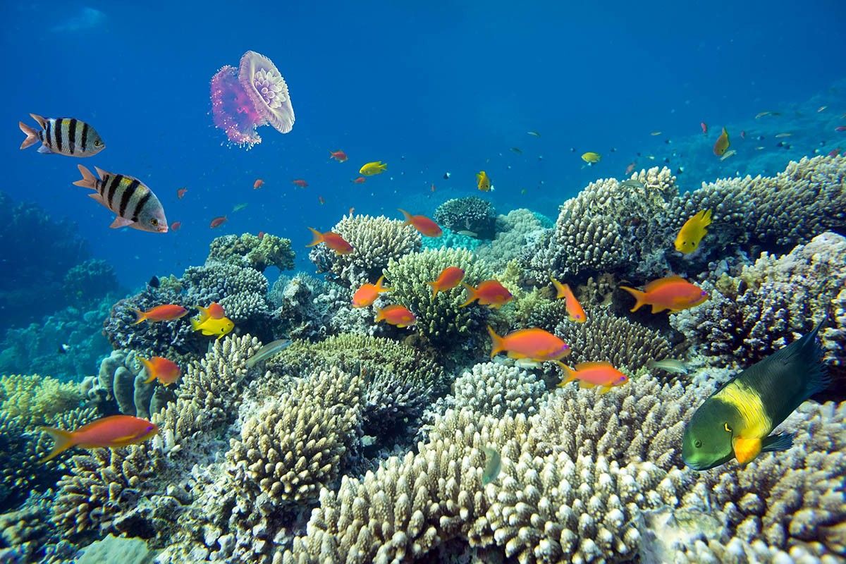 отдых на море