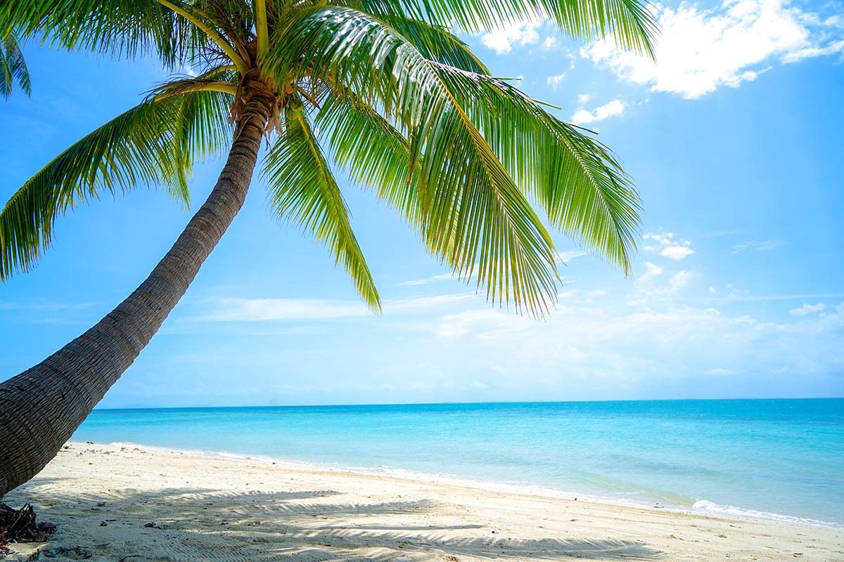 отдых на море