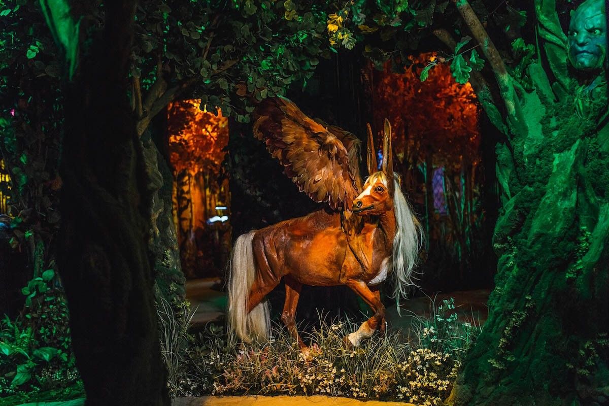 куда можно сходить в питере в мае