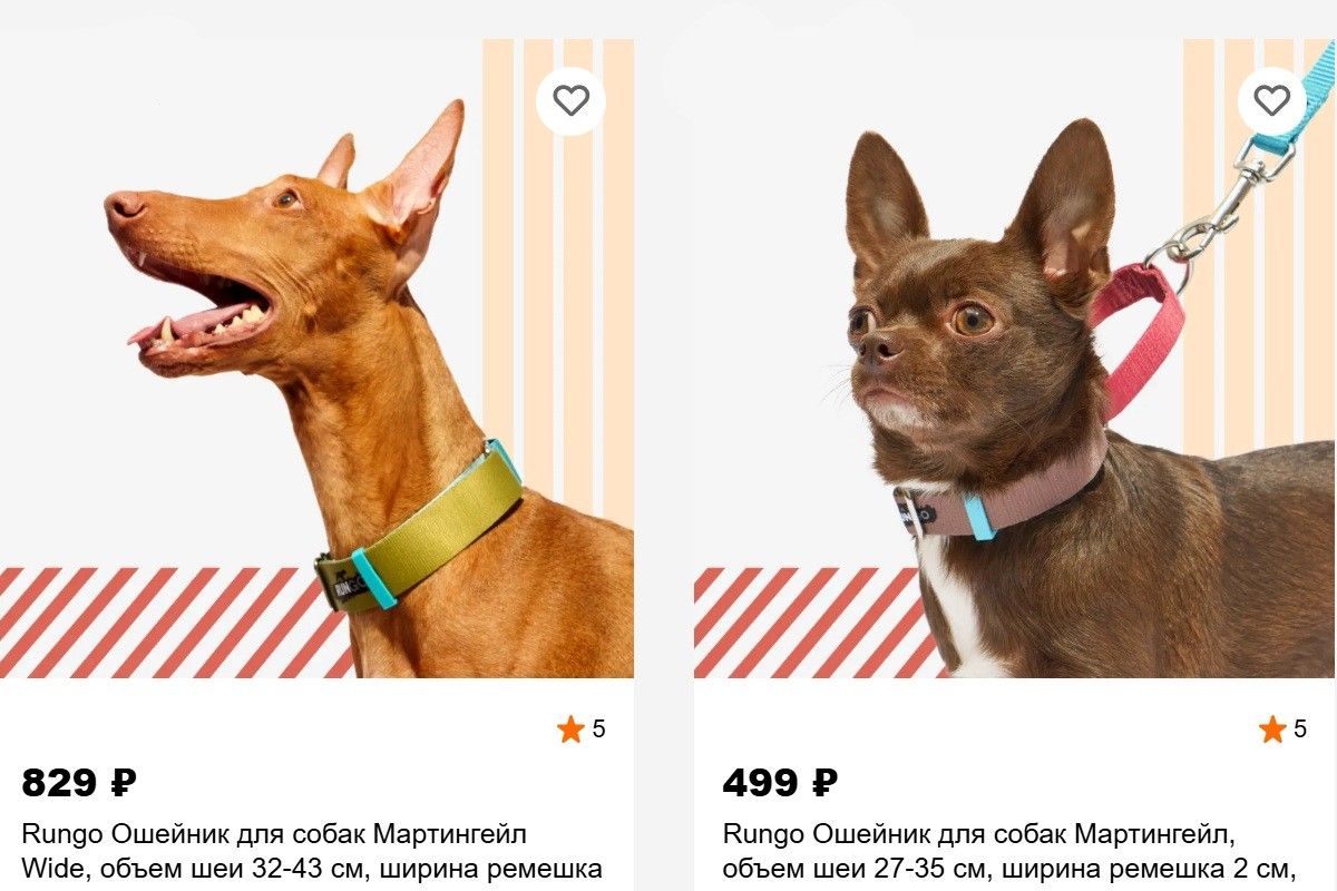какой ошейник выбрать