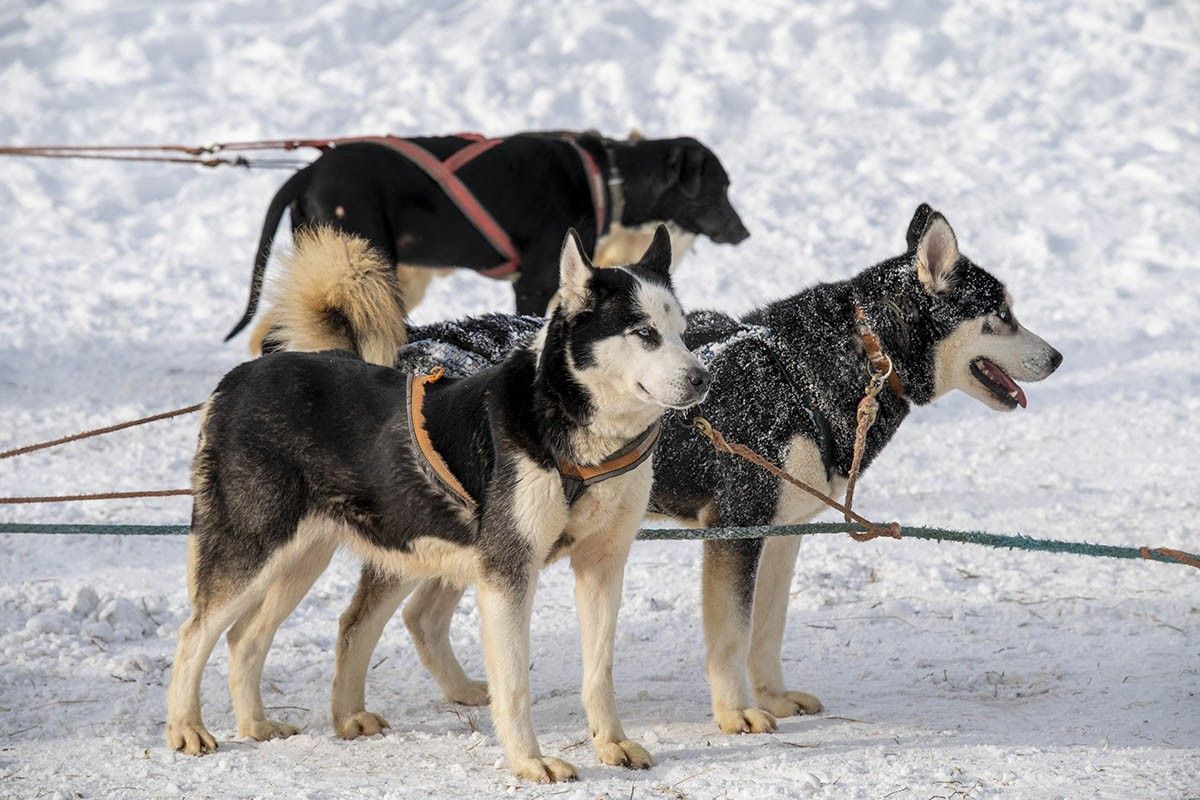 какая подходит