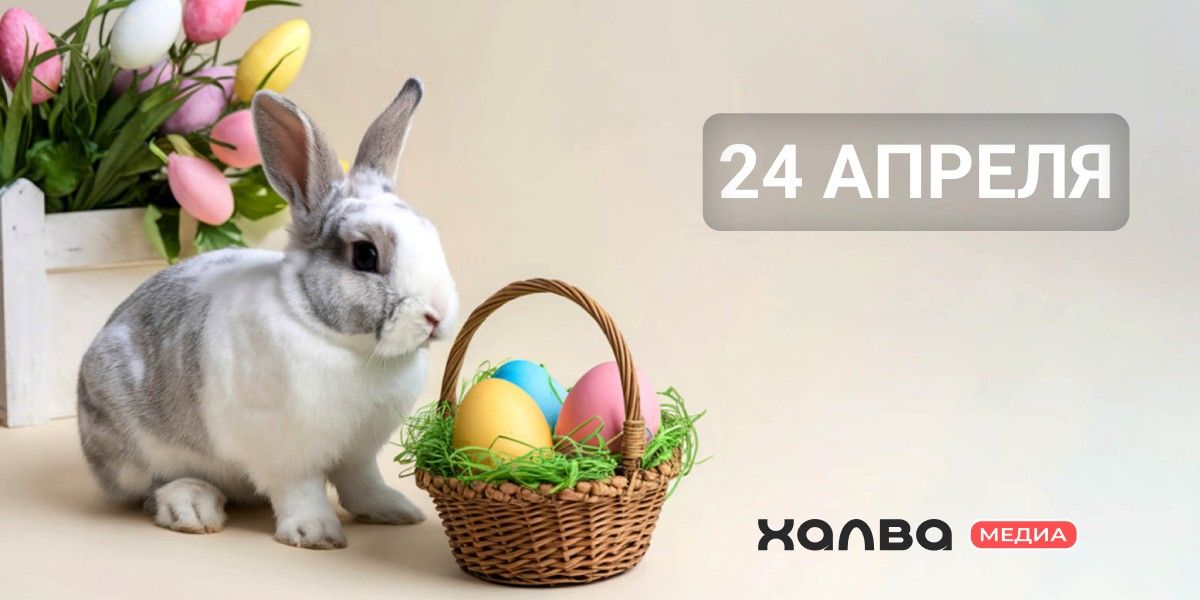 У кого из знаменитостей день рождения 24 апреля