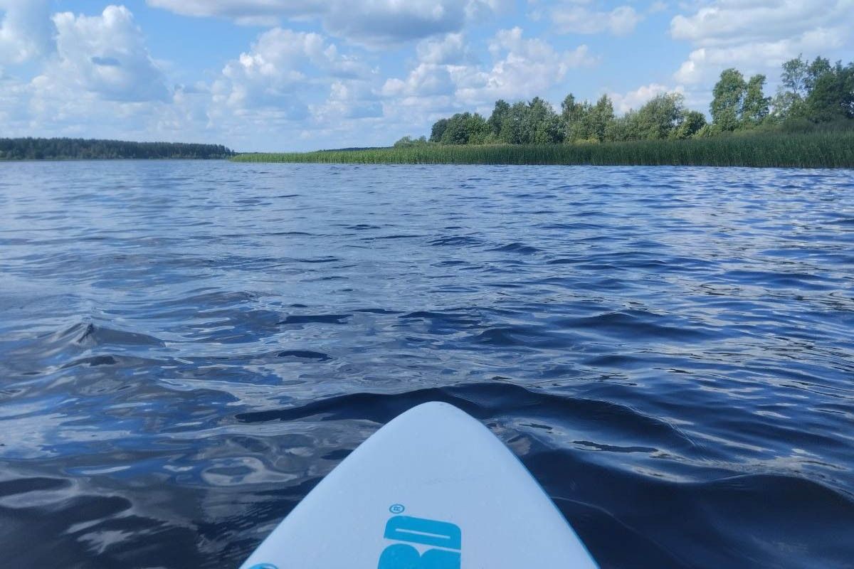вода и зелень