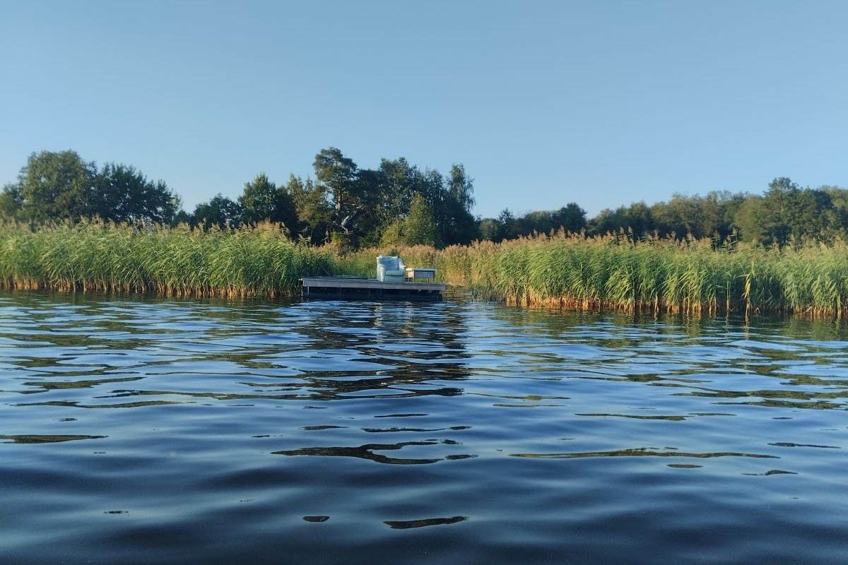 кресло на причале