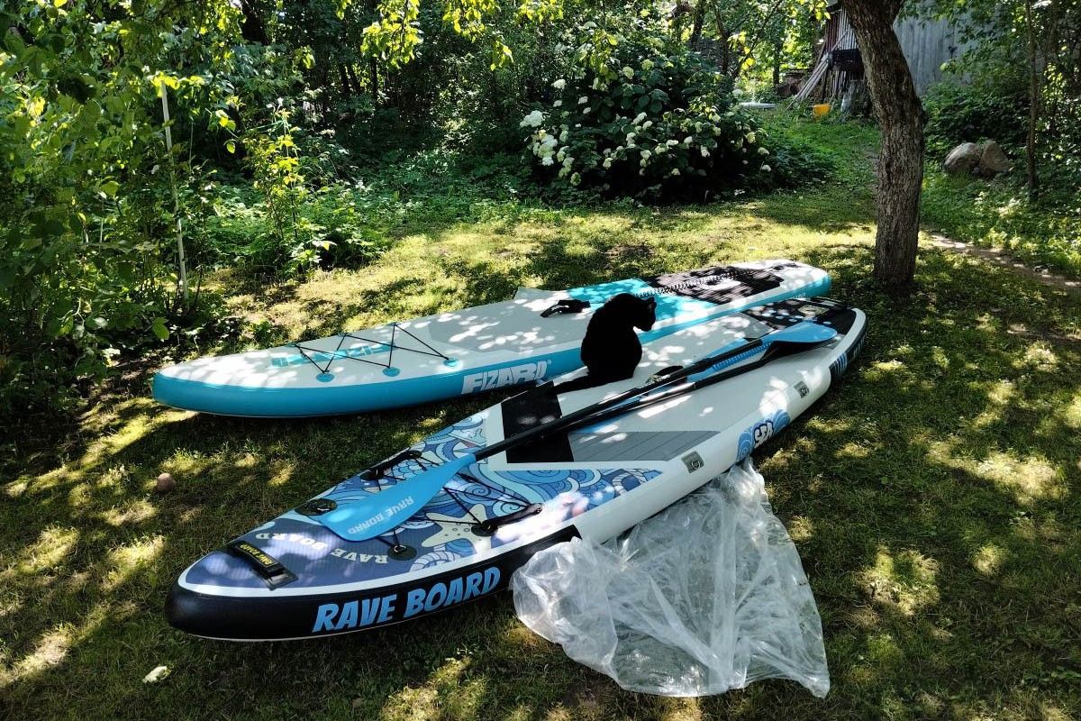 котик изучает