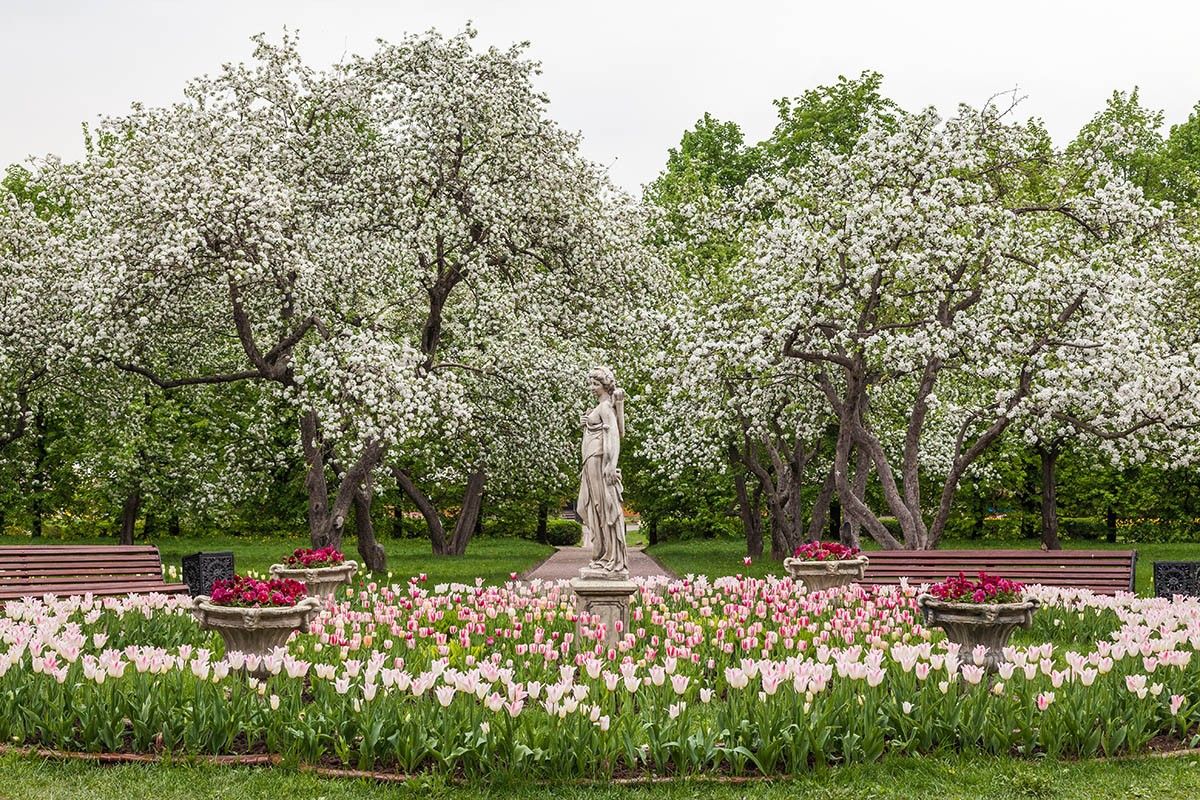 куда сходить на майские праздники