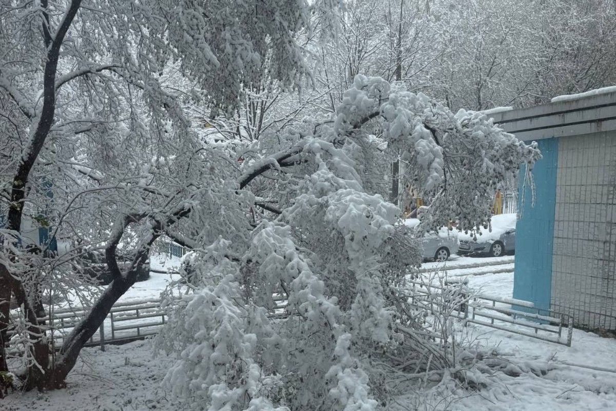 когда закончится снег