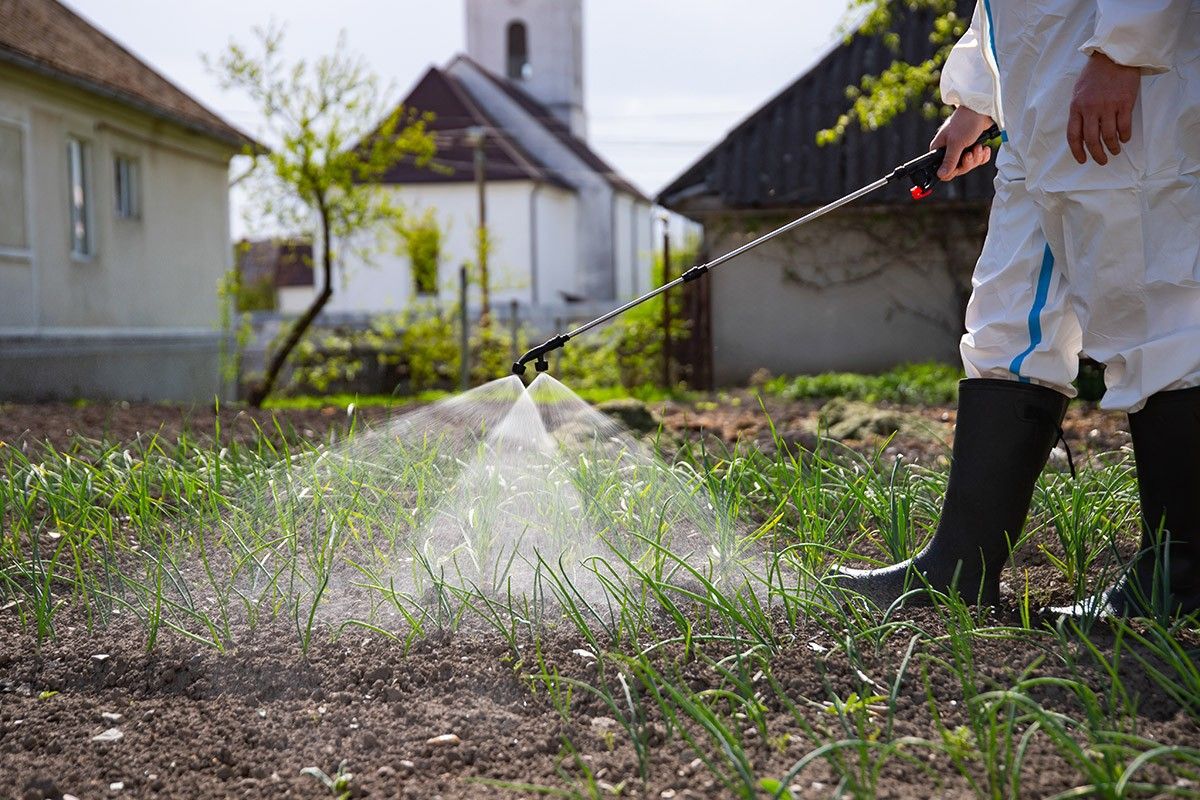 обработка участка