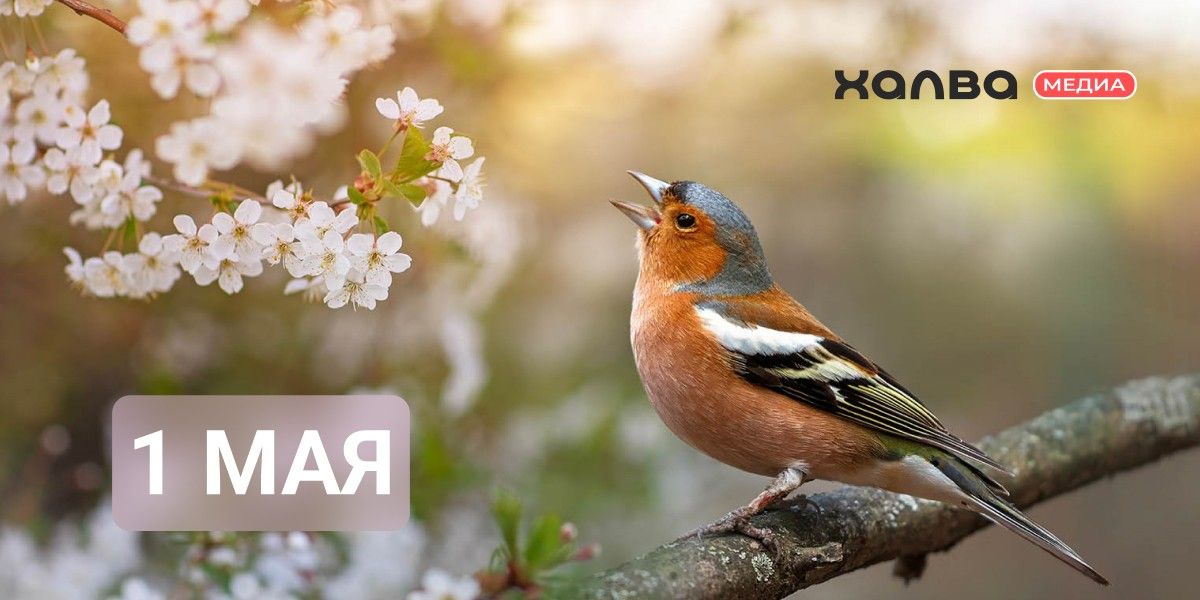 кто родился 1 мая из знаменитостей