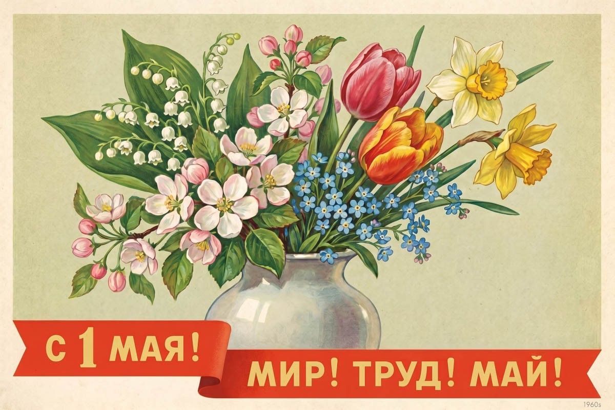 картинка мир труд май