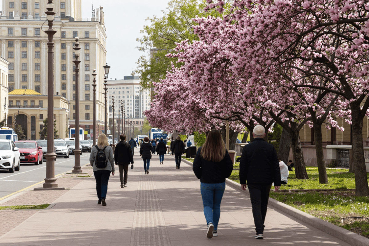 когда потеплеет в москве