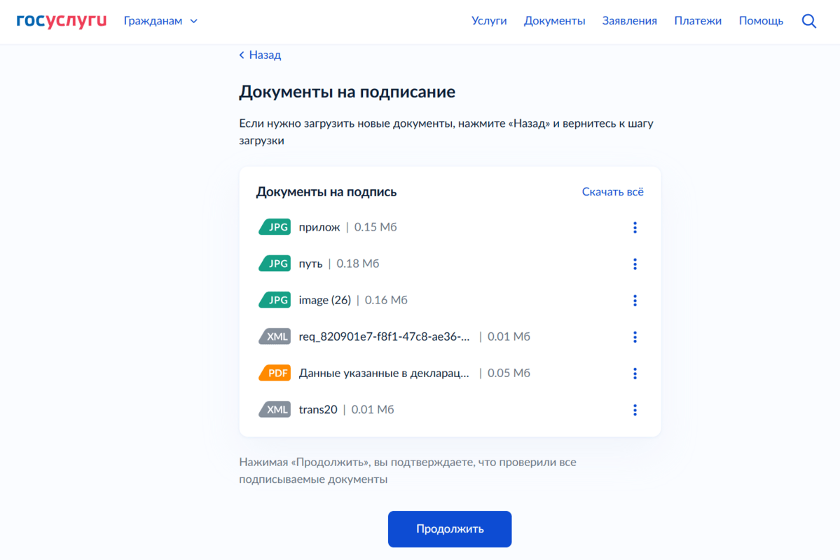 Система объединит все файлы, которые вы приложили, и само заявление. Источник: gosuslugi.ru