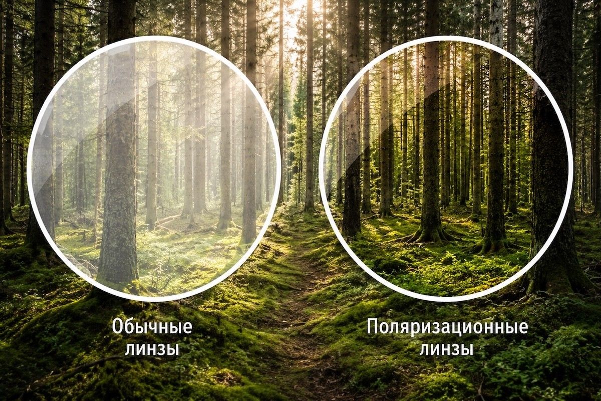 что такое поляризация