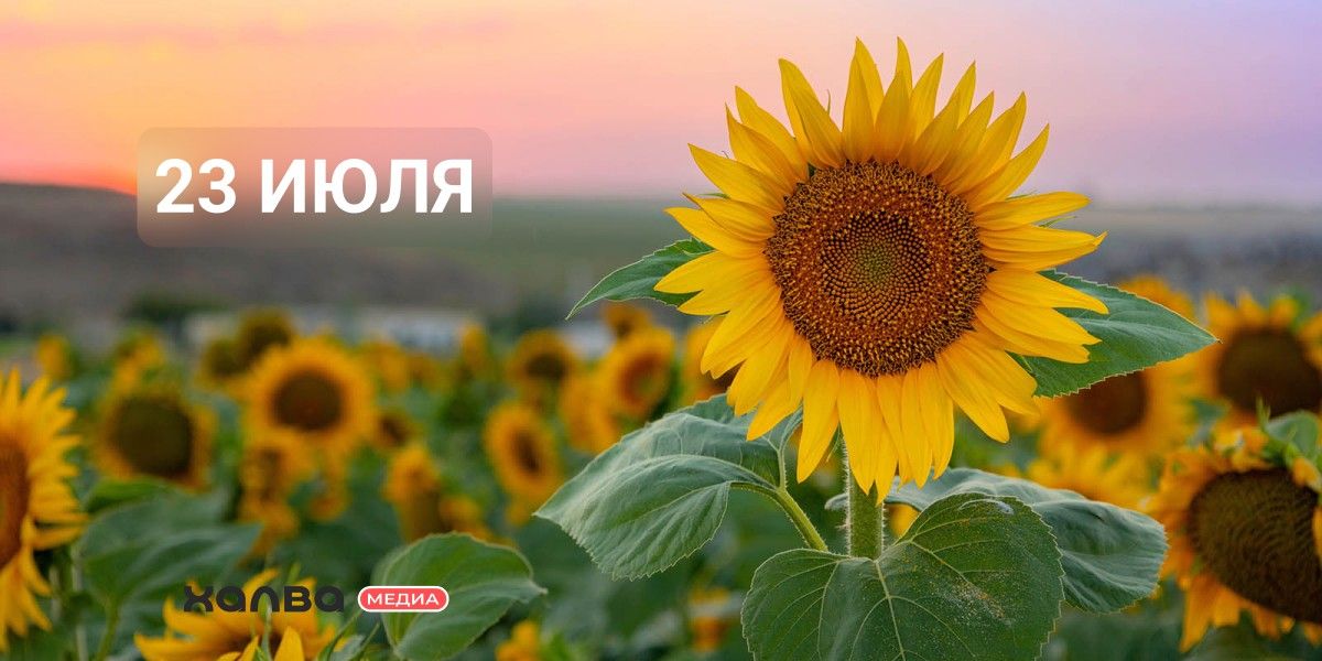 Кто из знаменитостей родился 23 июля