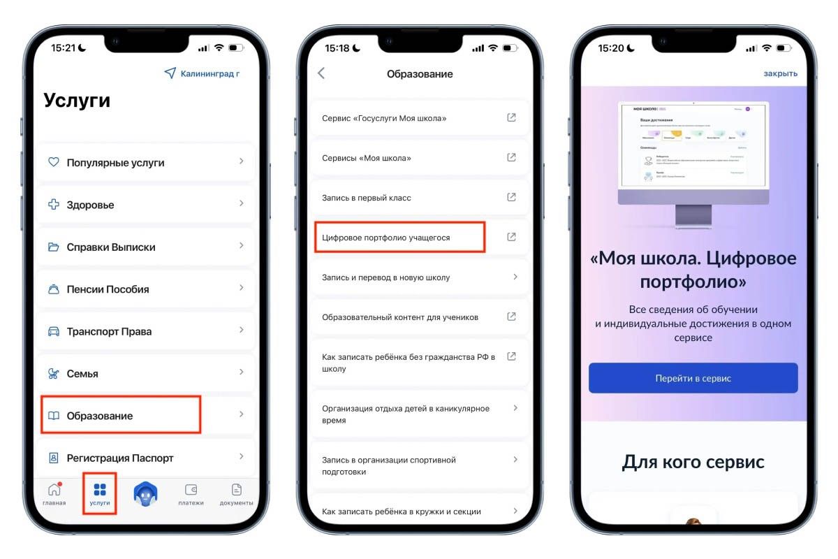 моя школа портфолио