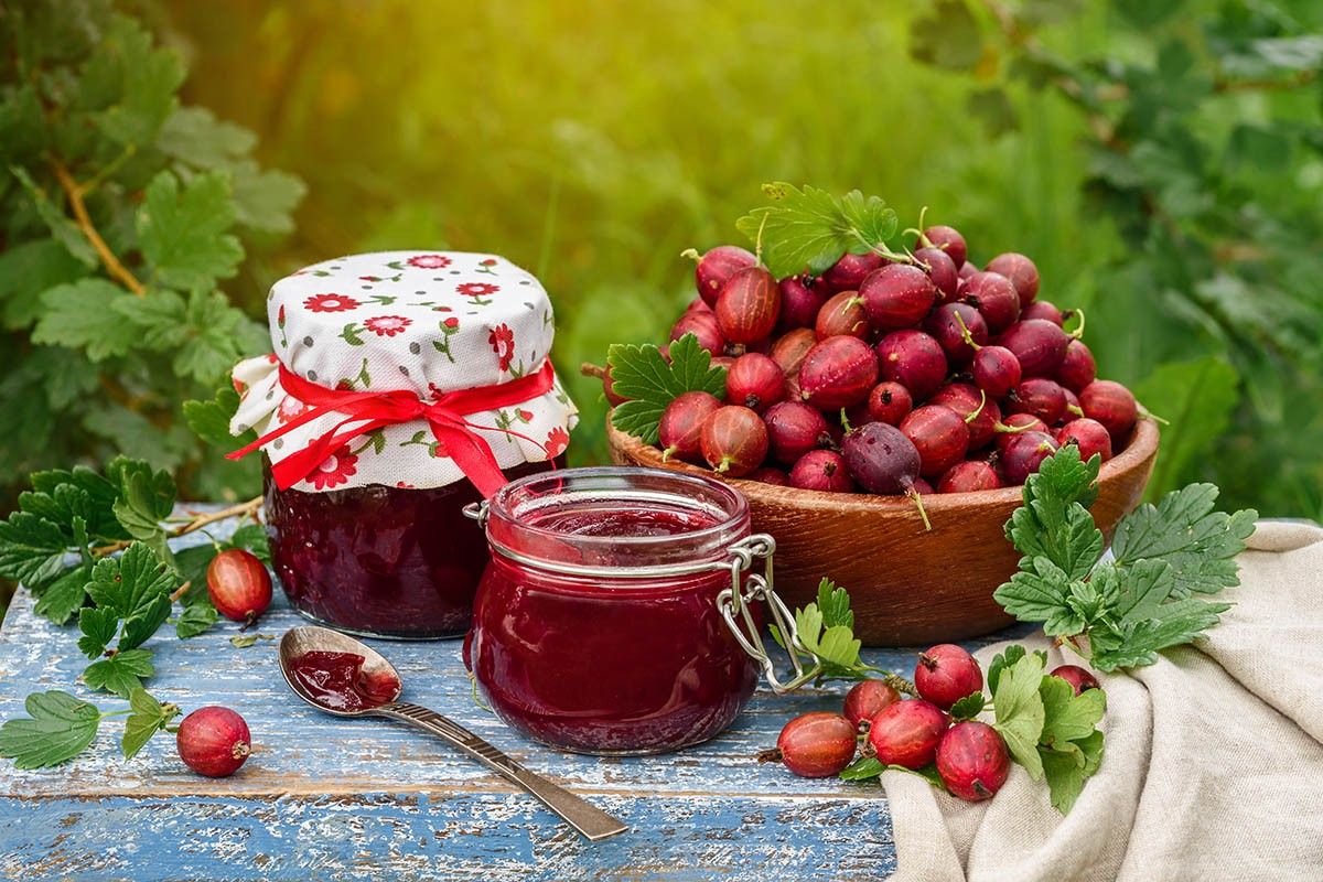как сварить варенье из крыжовника