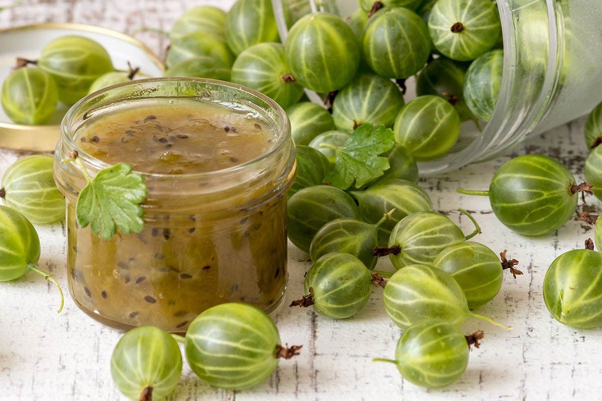 крыжовник на зиму