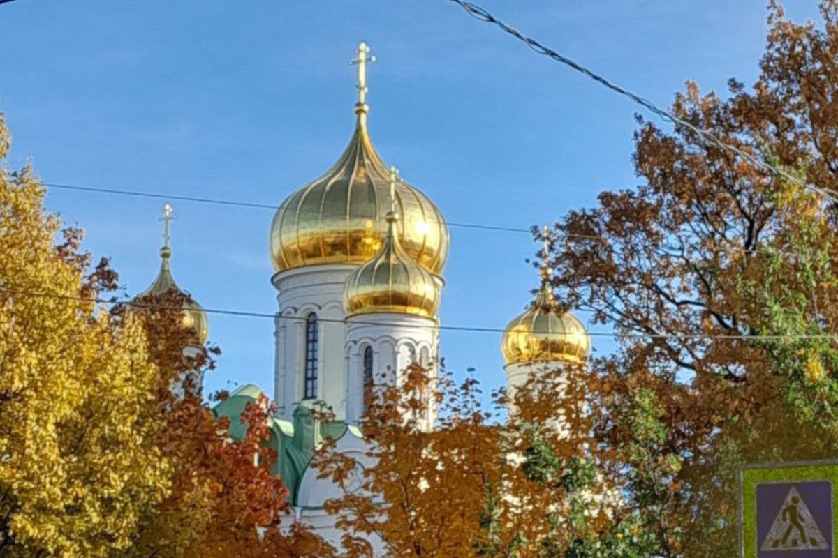 царское село режим работы