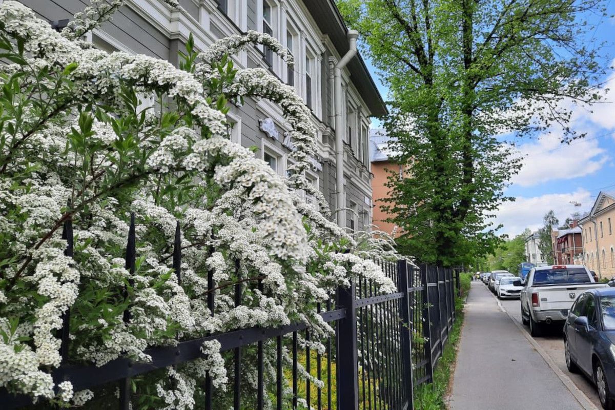 царское село санкт петербург