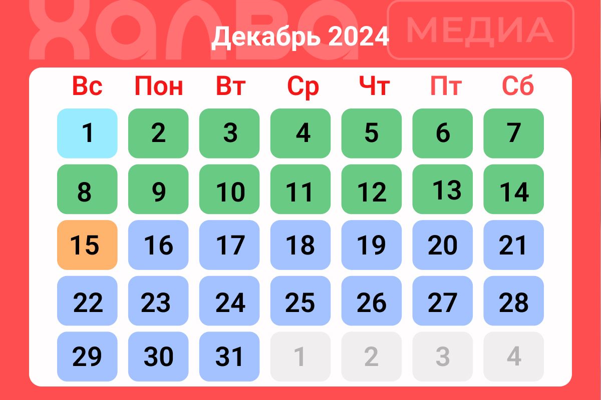 Когда лучше пересаживать комнатные растения в декабре