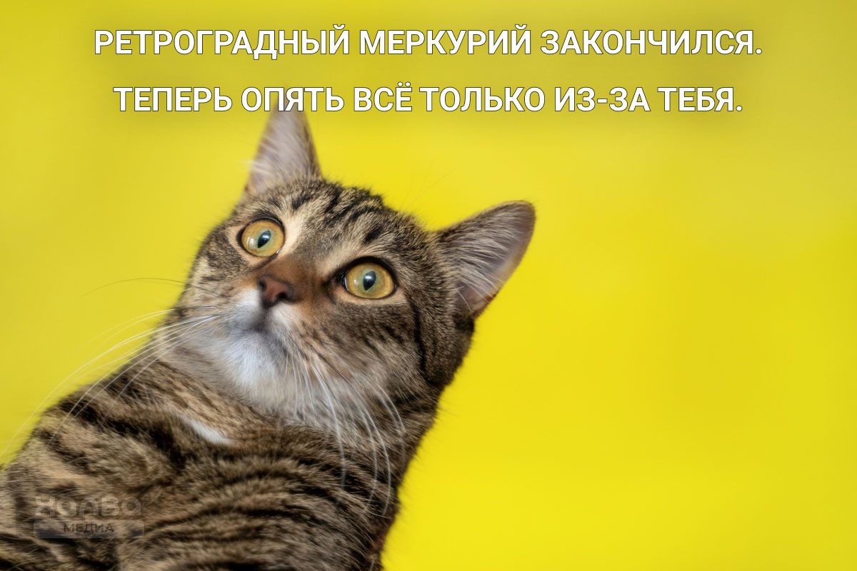 ретроградный меркурий 2025