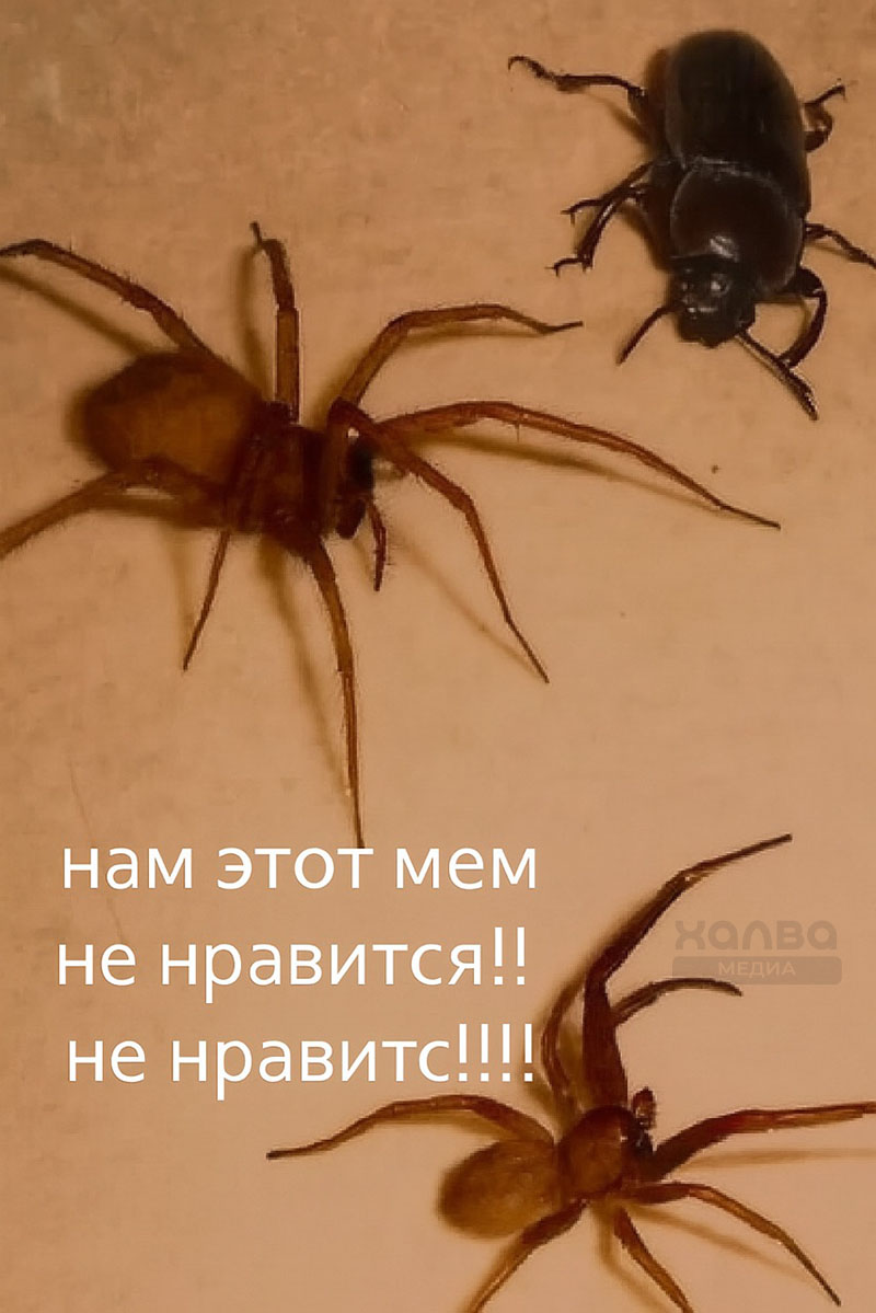 Источник: нейросеть
