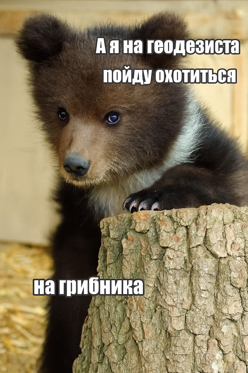 Источник: нейросеть