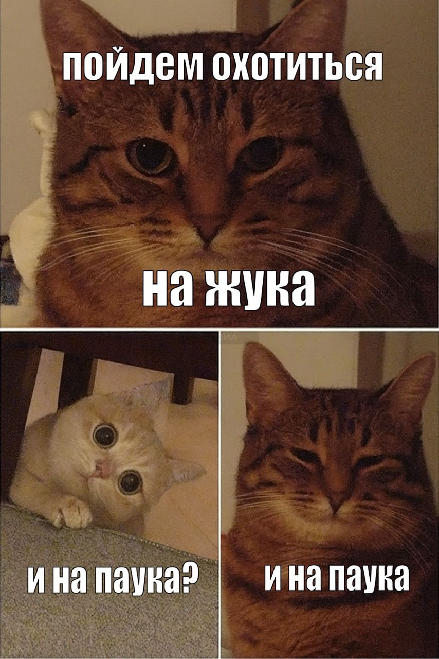 Источник: нейросеть