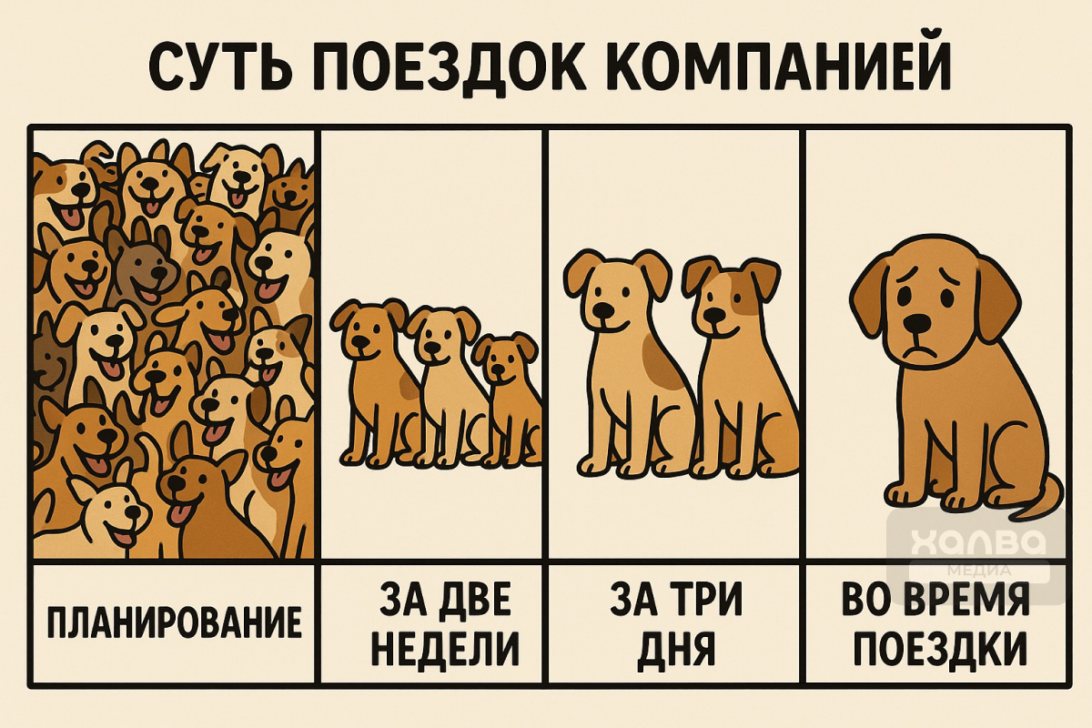 В отпуске с друзьями главная задача — чтобы все не разбежались до его начала