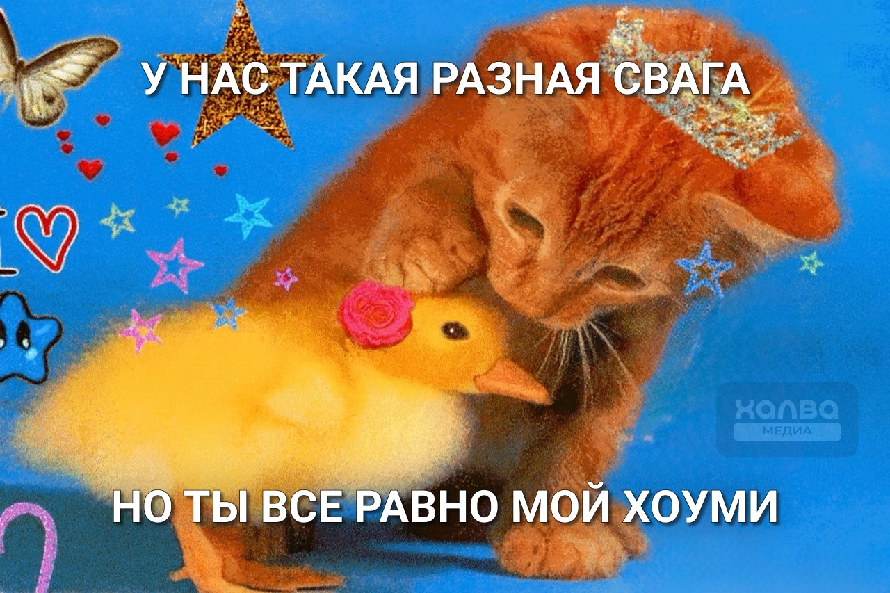 Хоуми (от англ. homie) — это сленговое слово, которым рэперы называют своих друзей 