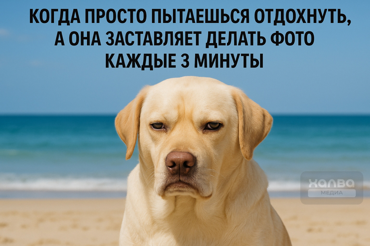 Для кого-то отпуск — не отпуск, если на фото не запечатлена каждая секунда