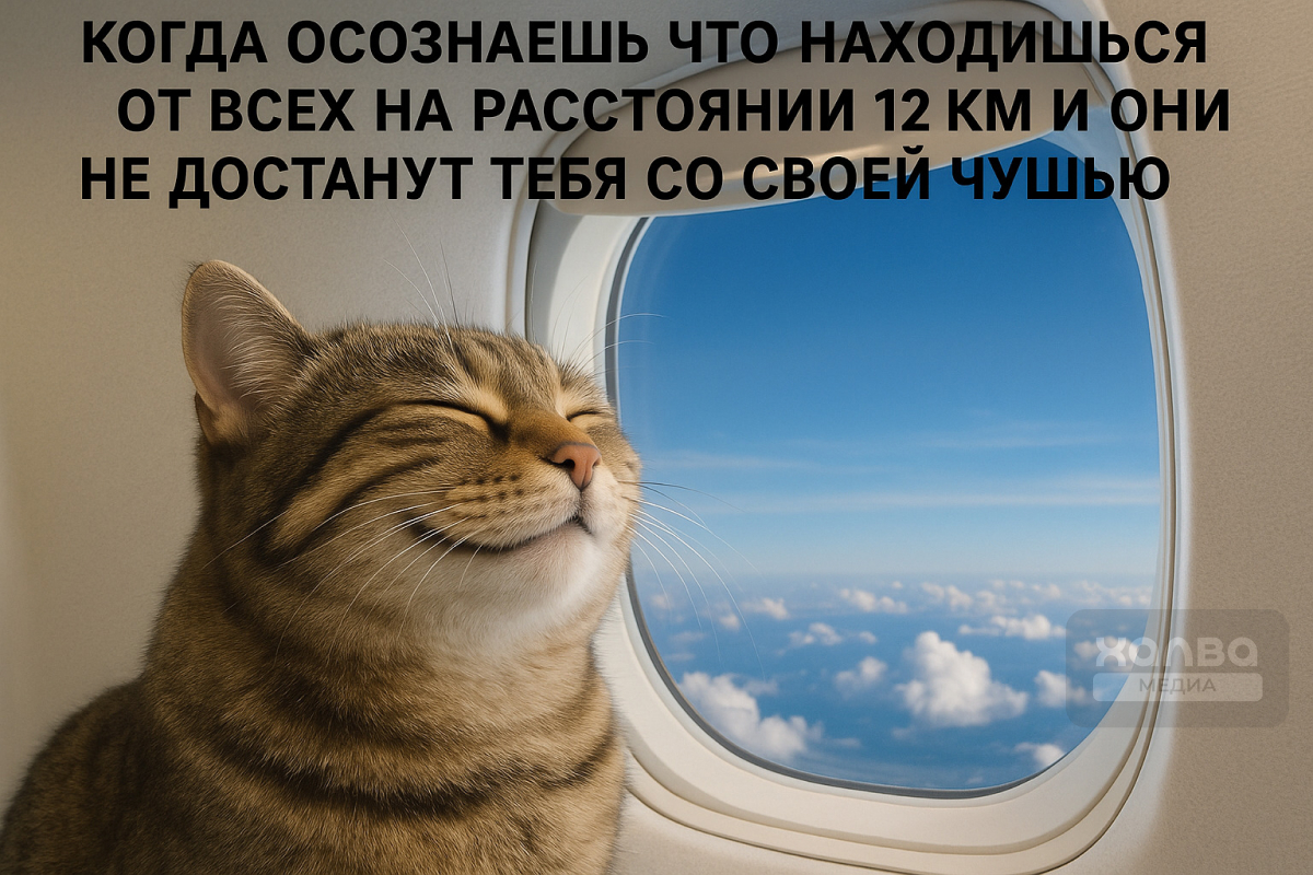 Ничто не сравнится с ощущением счастья, когда уже сидишь в самолете и направляешься к мечте