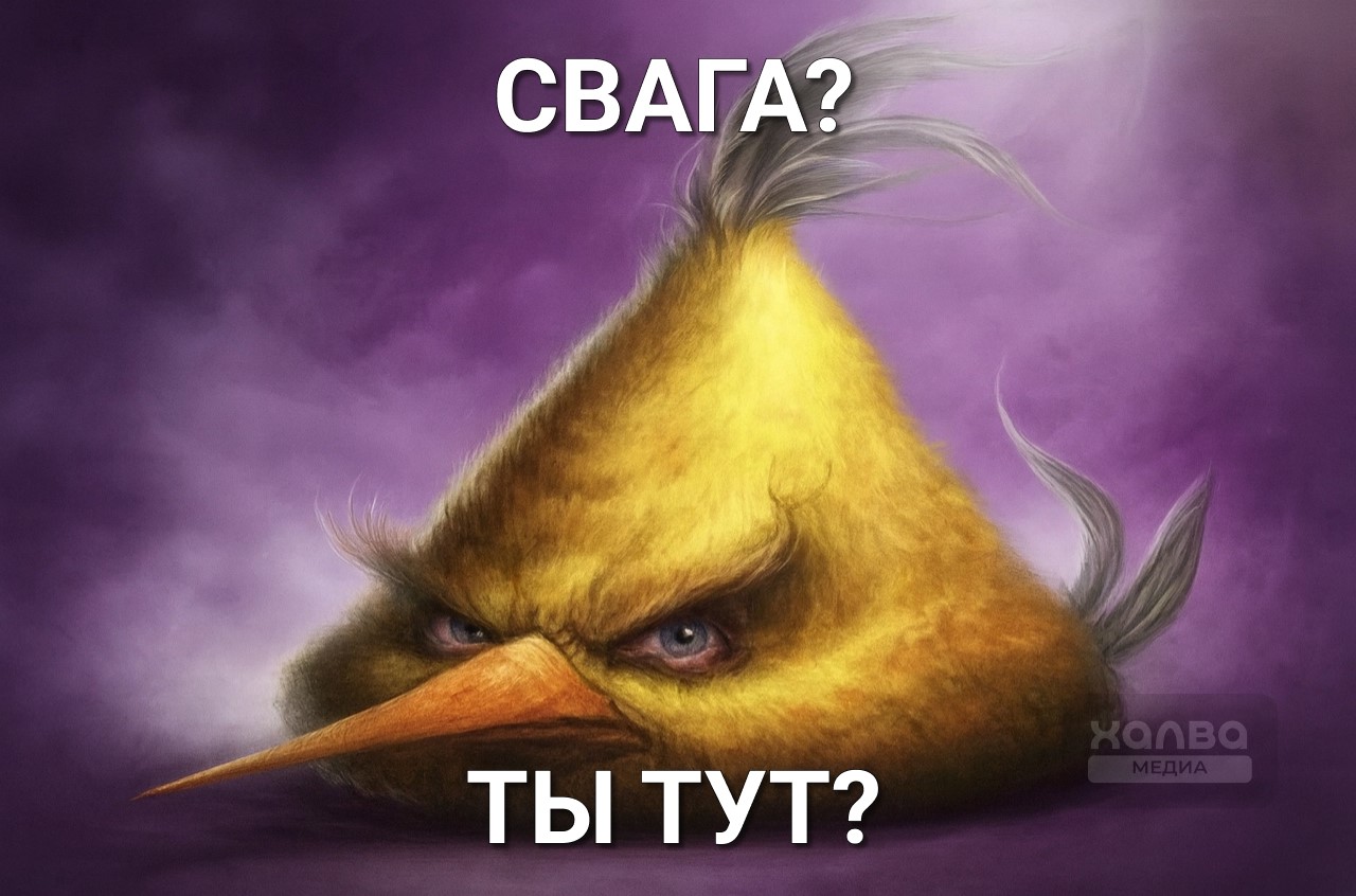 Angry Birds и «свага»