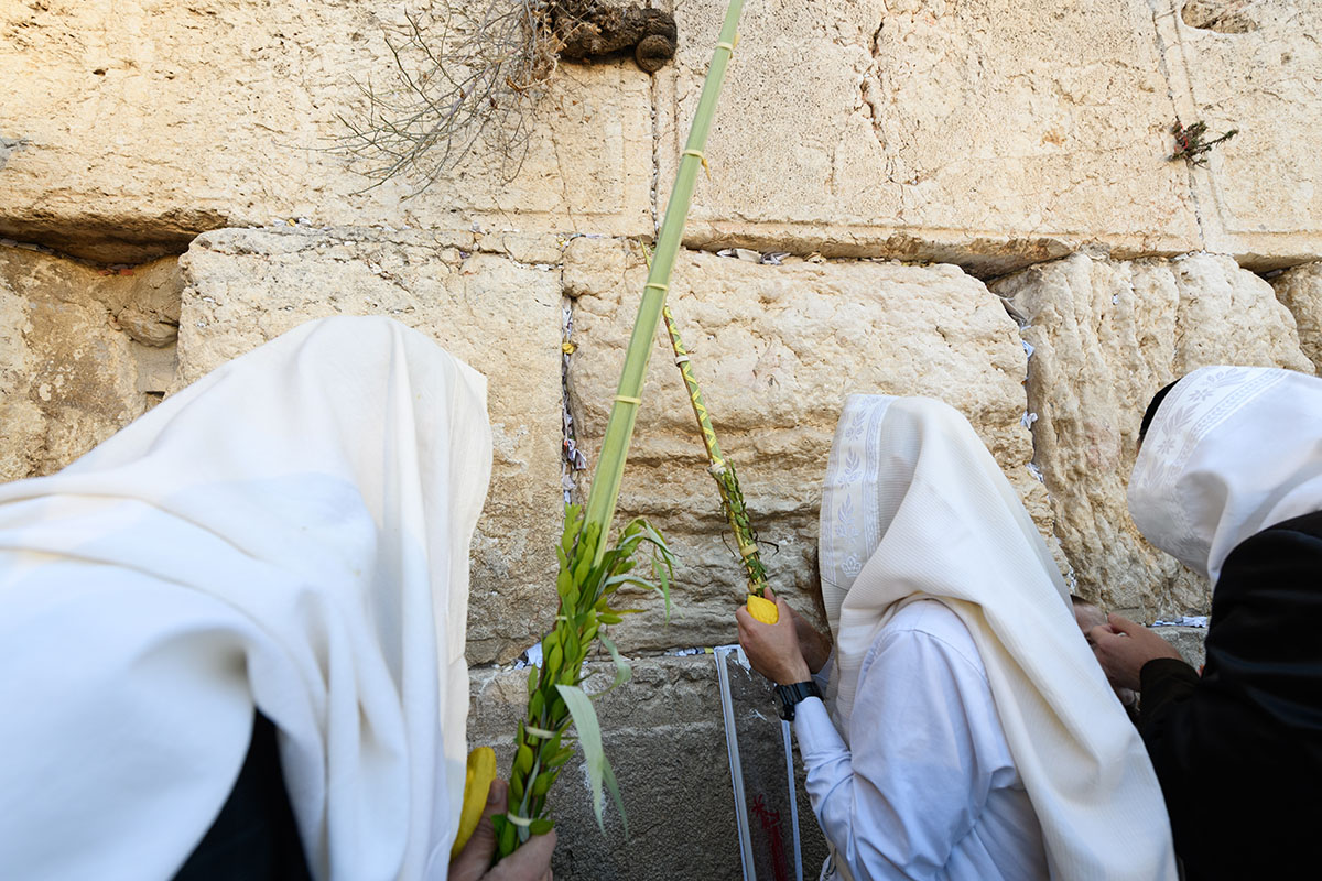 Вознесение букета. Источник: Yehoshua Halevi / Shutterstock / FOTODOM 