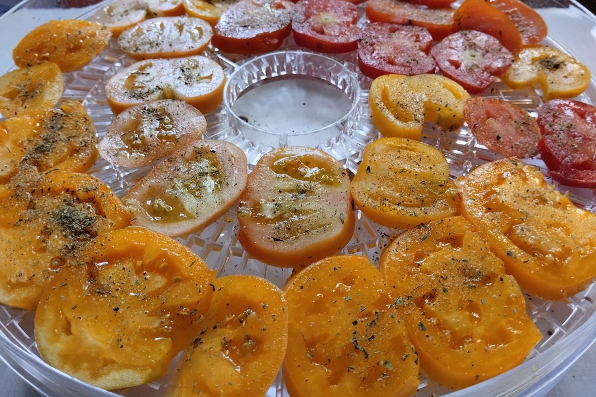 Если по виду ломтиков непонятно, готовы они или нет, — потрогайте: они должны быть сухими и твердыми. Источник: личный архив Ольги Гребневой