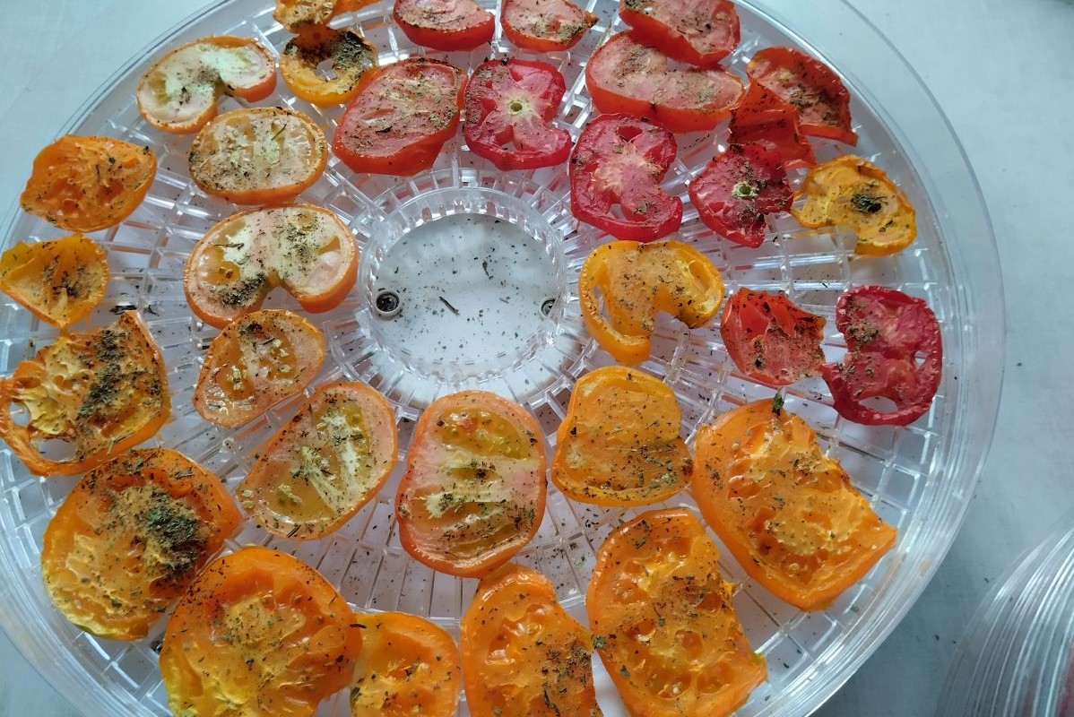 Если по виду ломтиков непонятно, готовы они или нет, — потрогайте: они должны быть сухими и твердыми. Источник: личный архив Ольги Гребневой