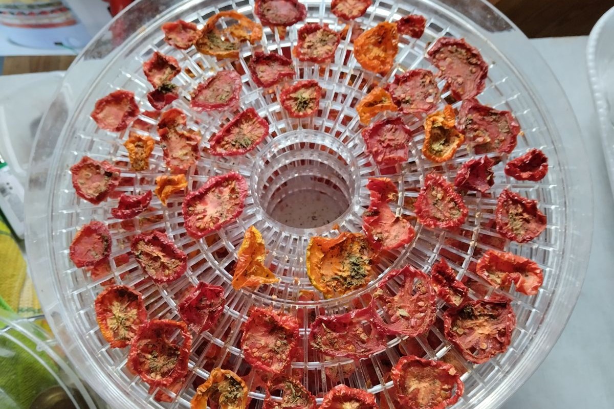 Если по виду ломтиков непонятно, готовы они или нет, — потрогайте: они должны быть сухими и твердыми. Источник: личный архив Ольги Гребневой