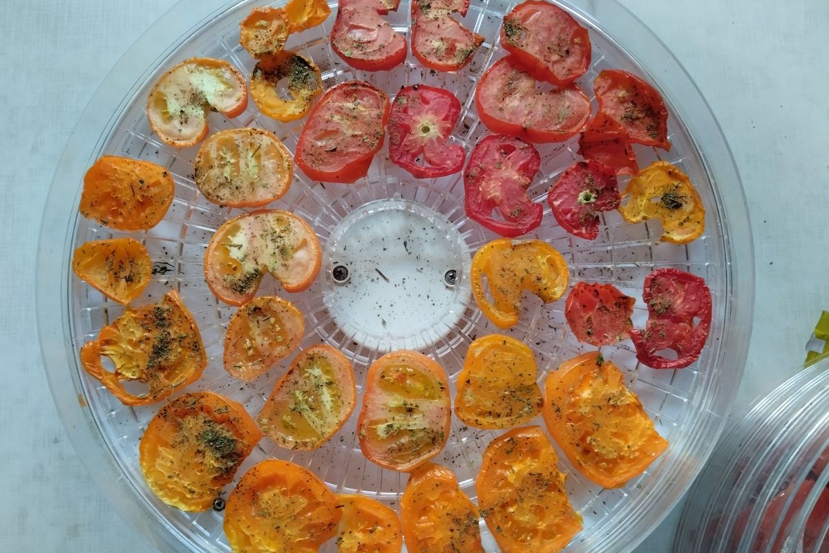 Если по виду ломтиков непонятно, готовы они или нет, — потрогайте: они должны быть сухими и твердыми. Источник: личный архив Ольги Гребневой