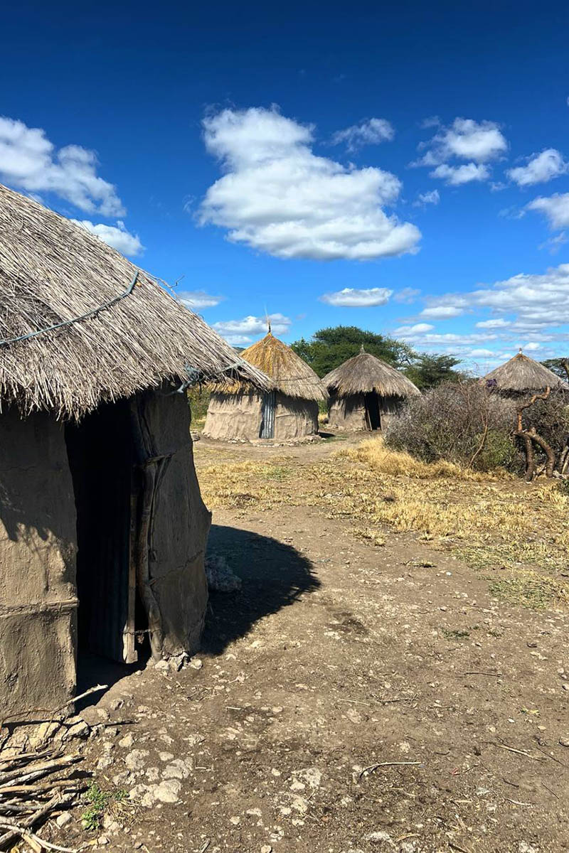 Масаи живут, мягко говоря, скромно. Источник: личный архив Марии Аккужиной